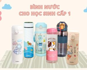 Goi Y Binh Giu Nhiet Qua Nhap Hoc 3